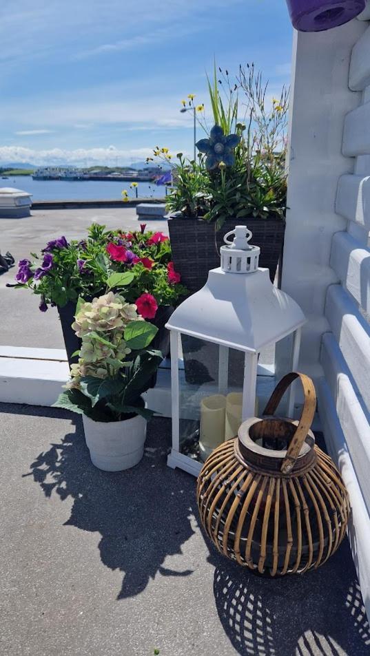 Rosie'S Apartments Killybegs Exteriér fotografie